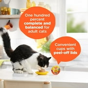 (6 pack) Meow Mix Pate in Gravy With Real Chicken & Tuna, Wet Cat Food, 2.75 oz Cup