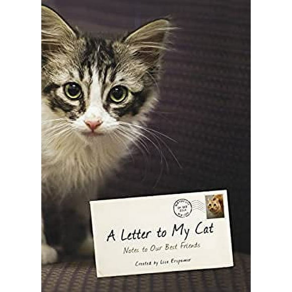 A Letter to My Cat : Notes to Our Best Friends 9780804139656 Used / Pre-owned