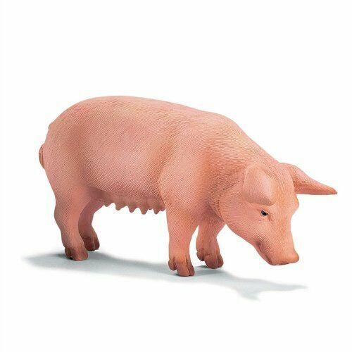 schleich pig