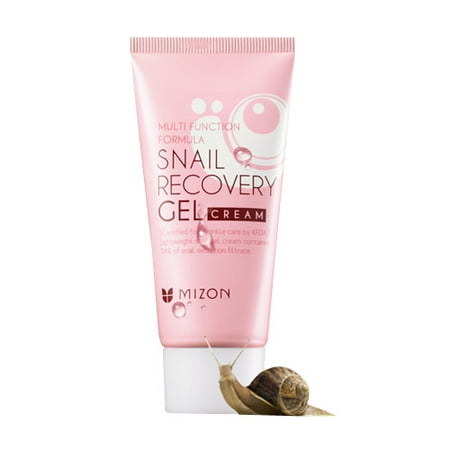 Mizon Snail Recovery Gel Cream, 1.52 Oz (Best Korean Beauty Sites)