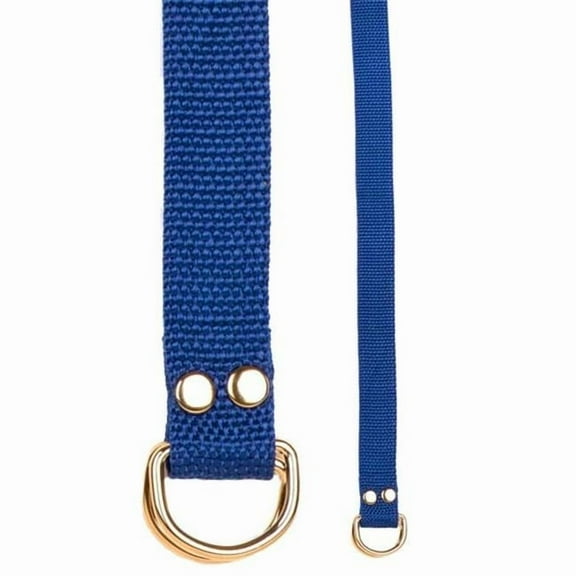 Champion Sports 20208 Football Belt, Blue