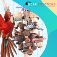 thumbnail image 4 of Chew Toys Bissap, loro grande para guacamayos, grises africanos y cacatúas, 4 of 6