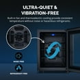 thumbnail image 4 of Newair | Countertop Wine Cooler Thermoelectric Refrigerator | 12 Bottle |, 4 of 22