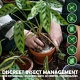 thumbnail image 3 of Diatomaceous Earth Food Grade Powder with Peppermint - Crawling Insect Killer for Bed Bugs, Roaches, Ants, Fleas - Indoor & Outdoor Pest Control | Family & Pet Safe | 1 lb, 3 of 10