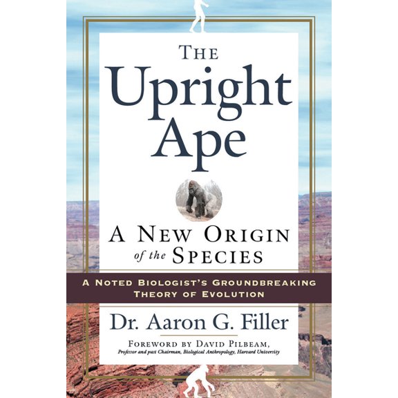 The Upright Ape : A New Origin of the Species (Hardcover)