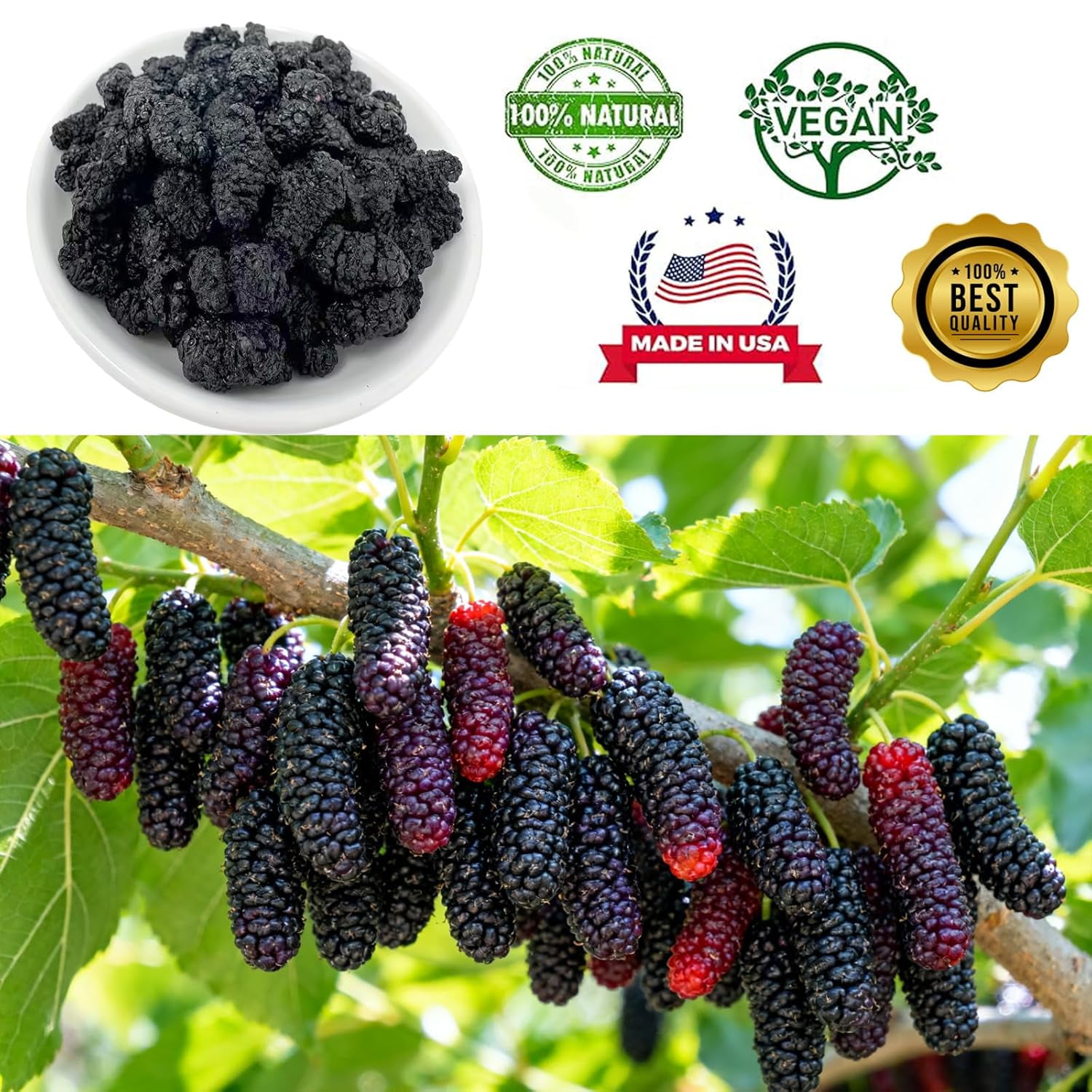 Dried Black Mulberries Top Grade Premium, Wild Black Mulberry Dried Fruit No Sugar Added,Vegan, Natural for Healthy Snacking, Baking,Tea 16OZ/Bag