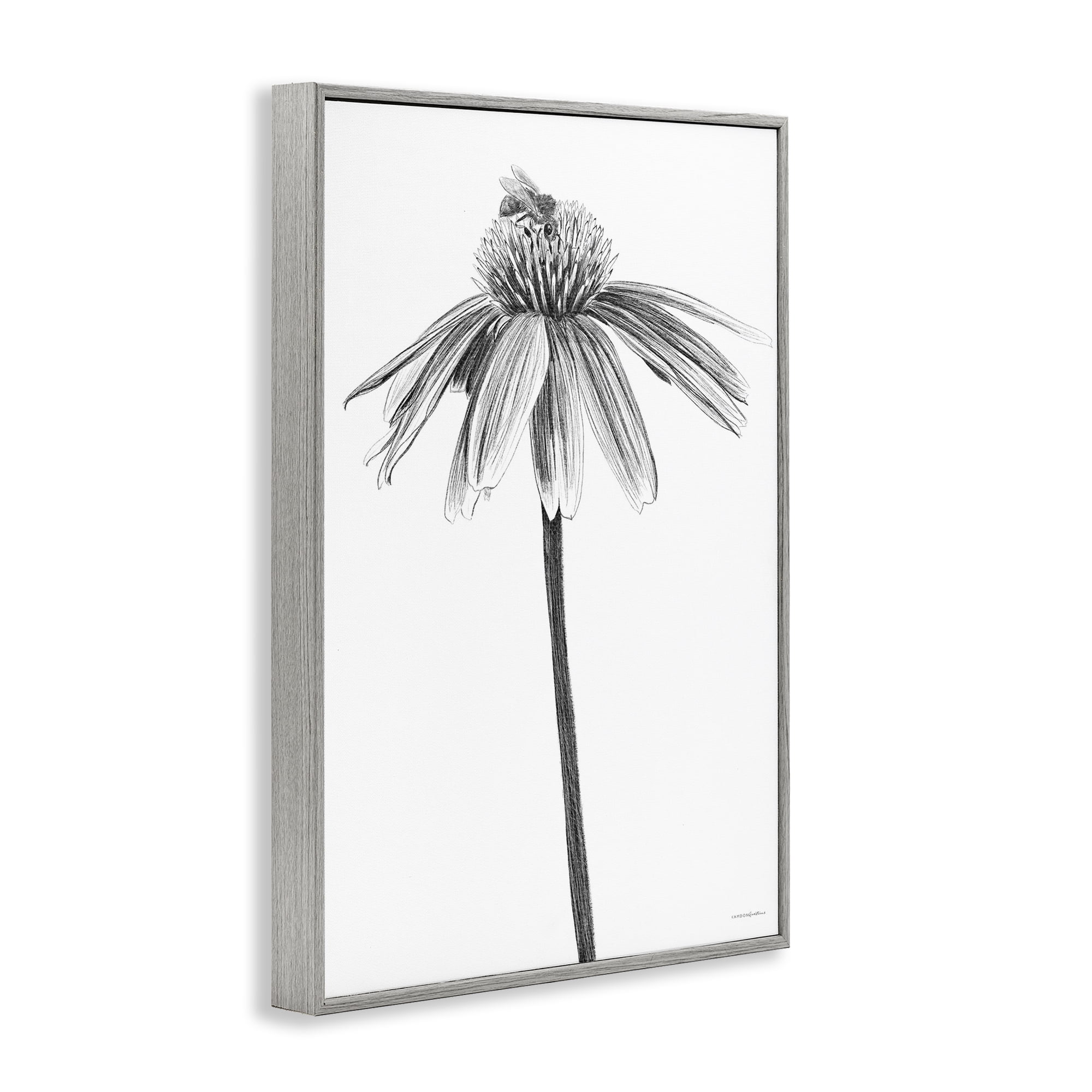 Stupell Industries Simple Daisy Sprig Botanical & Floral Drawing Gray Framed Art Print Wall Art, 12 x 18