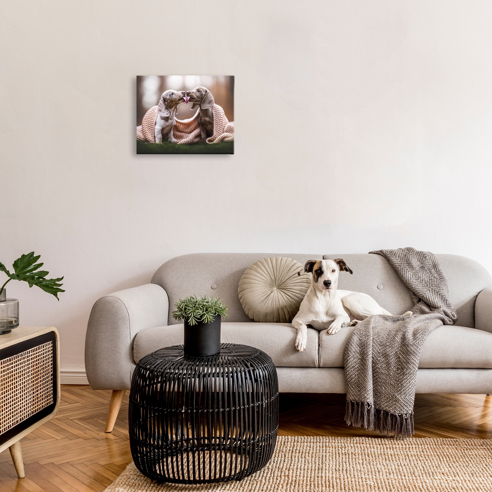 Stupell Industries Puppies with Blanket Animals & Insects Painting Gallery Wrapped Canvas Art Print Wall Art, 20 x 16