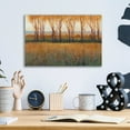 thumbnail image 3 of Epic Art 'Glow in the Afternoon II' by Tim O'Toole, Acrylic Glass Wall Art, 16"x12", 3 of 3