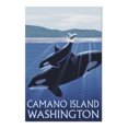 thumbnail image 2 of Camano Island, Washington, Orca and Calf (19x27 inches, Premium 500 Piece Jigsaw Puzzle for Adults and Family, Made in USA), 2 of 4