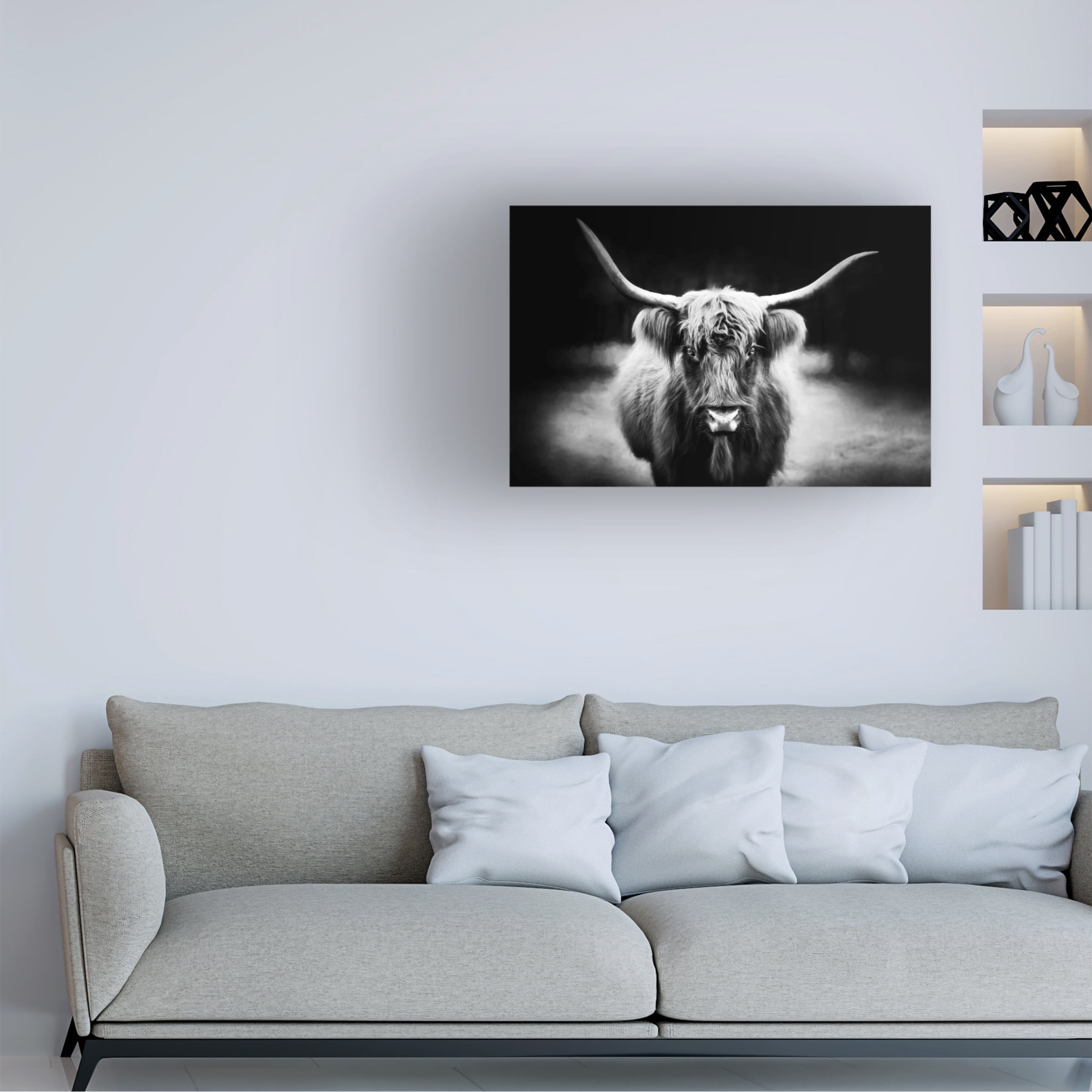 PHBurchett 'Photography Study Highland Cattle' Canvas Art