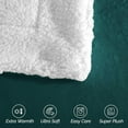 thumbnail image 5 of Elegant Comfort Soft, Reversible Sherpa Blanket, Flannel Fleece Throw for Couch and Bed, Warm and Plush Winter Blanket, Twin XL, Turquoise, 5 of 5