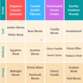 thumbnail image 3 of Perfume Zoha Amber Bloom Roll-on, 6 ml, sin alcohol, para mujeres y hombres, 3 of 5