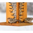 thumbnail image 6 of Perky-Pet 4 lb Pinery Wild Bird Feeder, 6 of 6