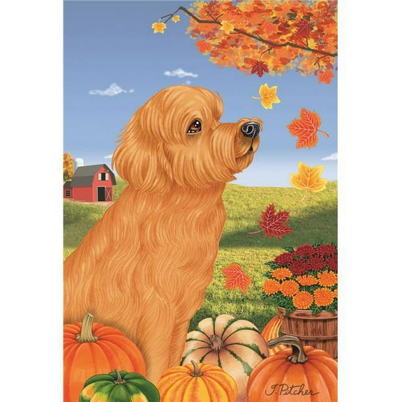 Best of Breed TP67270 Goldendoodle Red Autumn Leaves House Flag