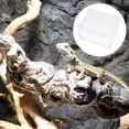 thumbnail image 1 of PAMINGONO Acrylic Reptile Box Small Terrarium Transparent for 1Set, 1 of 7