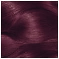 thumbnail image 4 of Garnier Color Sensation Unisex Hair Color Highlights Cream, 4.26 Hollywood Rogue Intense Burgundy, 4 of 6