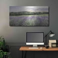 thumbnail image 5 of Luxe Metal Art 'Lavender Fields' by Lori Deiter, Metal Wall Art, 48"x24", 5 of 9