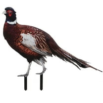 Pheasent Outdoor Ornament Pheasant Garden Stetue Decoration Lawn Animal Stake