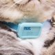 thumbnail image 2 of Collar inteligente antipérdida para mascotas, dispositivo antipérdida, localizador inteligente para mascotas, alarma, rastreador antipérdida para gatos y perros., 2 of 5