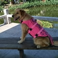 thumbnail image 3 of Gilet de Sauvetage pour Chien, Gilet de Sauvetage pour Animal en Ripstop, Préservateur de Natation, Bouée de Flottaison Réglable pour Chien avec Poignée de Sauvetage Solide pour Sma, 3 of 9