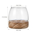 thumbnail image 4 of Bol en Verre pour Poisson, Terrarium, Réservoir d'Aquarium, Vase pour Poissons Rouges, Succulentes et Propagation, 4 of 8