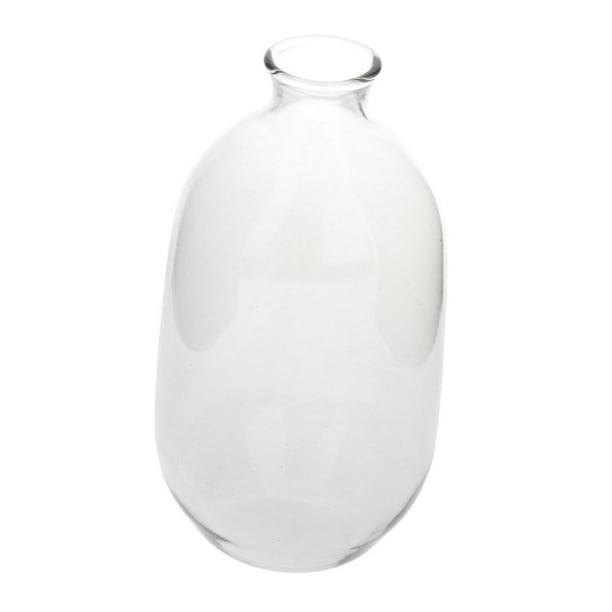 Jarrón de vidrio transparente Flor decorativa Florero decorativo de burbujas Florero moderno de botella para S