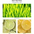 thumbnail image 5 of CULTURE & NATURE Lemongrass & Lime Scented Pure Grade Essential Oil Diffuser, 5 of 5