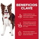 thumbnail image 3 of Alimento Seco para Perro Hill's Pet Nutrition Science Diet Perfect Digestion; Adulto 5.4 kg Digestión Perfecta, 3 of 3