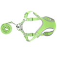 thumbnail image 2 of Hilitand Dog Adjustable Harness, Soft Mesh Fabric Dog Harness With Leash For Decorations For Souvenir For Gift For Pet, 2 of 8