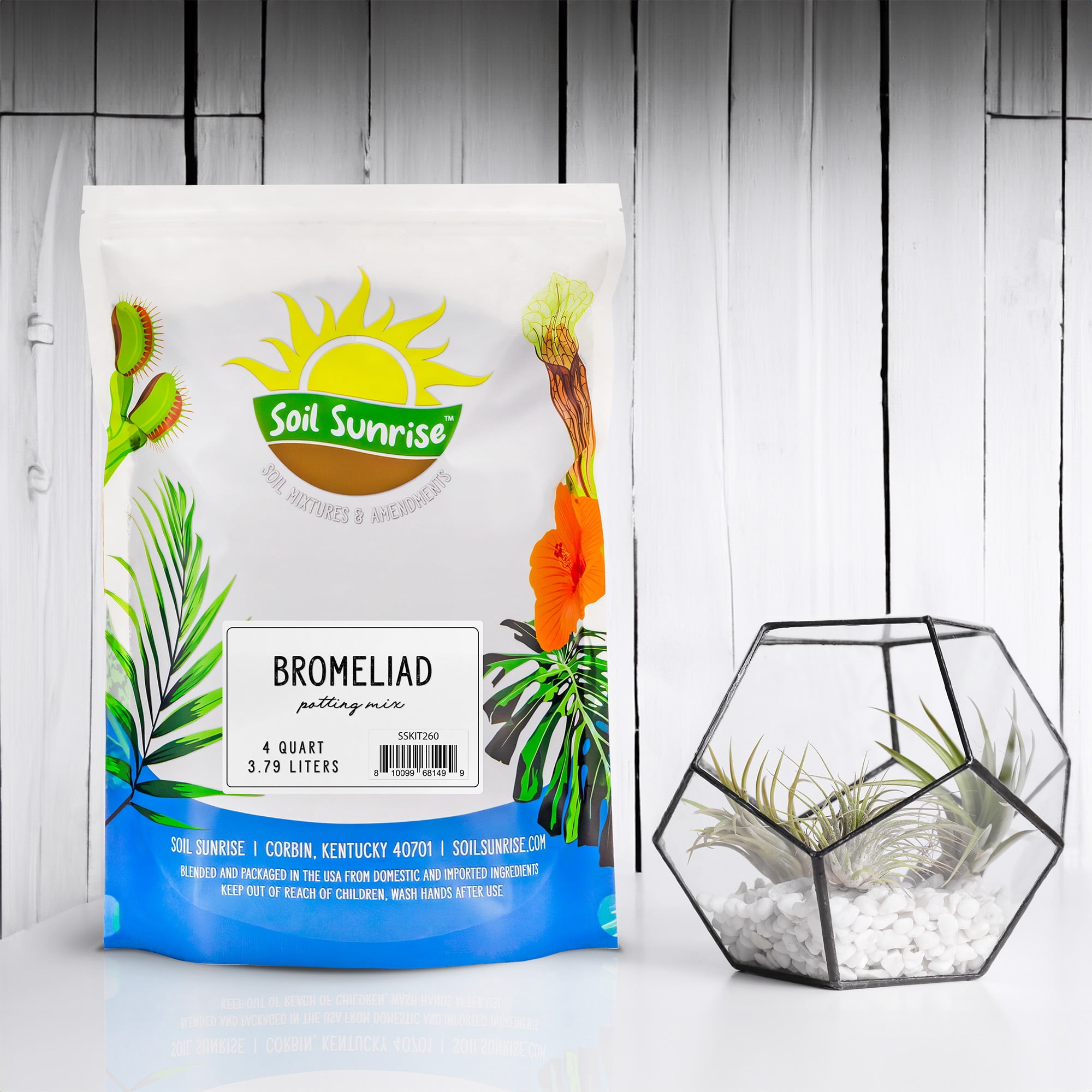 Bromeliad Plant Potting Soil Mix (8 Quarts), Container Gardening Tropical  Houseplant Soil - Walmart.com