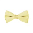 thumbnail image 4 of Tuxedo Park Suspender & Bow Tie Set (Kids, Yellow), 4 of 4
