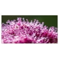 thumbnail image 2 of Vue Gros Plan de Petites Fleurs Roses - Grande Toile Murale Florale, 2 of 3