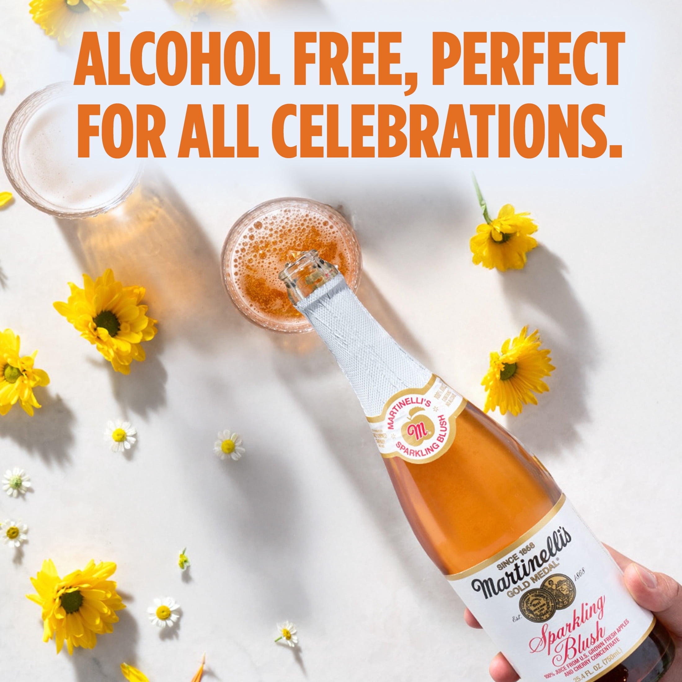 (2 pack) Martinelli's Sparkling Blush, 25.4 fl oz Glass Bottle