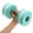 Mint Green, variant on Water Aerobics Dumbbell for Pool Exercise, Foam Resistance Barbell for Aqua Fitness and Hydro Training, Portable Equipment for Swimming Workouts and Water Sports