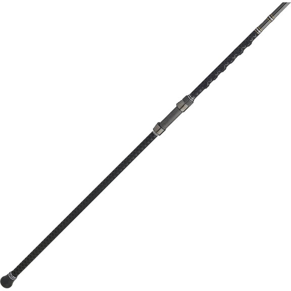 PENN Carnage III Conventional Surf Rod, 10' Fishing Pole, Medium Power