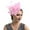 Pink, variant on Fascinators Hats for Women Wedding Flower Cocktail Mesh Feathers Hair Clip Tea Party Headband Hair Accessories for Women Pink One Size