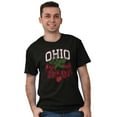 thumbnail image 4 of Ohio Stenciled Buckeye Leaf OH Cool Plus Size Crewneck Graphic Tee Shirt Brisco Brands 2X, 4 of 5