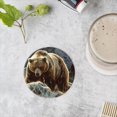 thumbnail image 4 of BaHomeck Drink Coasters Set of 4 with Holder grizzly bear in the Rocky Mountains with boulders Water Absorbent Ceramic Coasters Tabletop Protection,Suitable for Various Cup ,Home Decor, 4 of 4