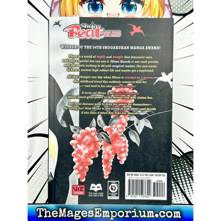 Black Bird Black Bird, Vol. 1, Book 1, (Paperback) - Walmart.com