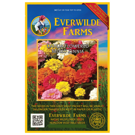 Dahlia Flower Bulbs (Everwilde Farms - 200 Dahlia Flowered Mixed Zinnia Garden Flower Seeds - Gold Vault Jumbo Bulk Seed)