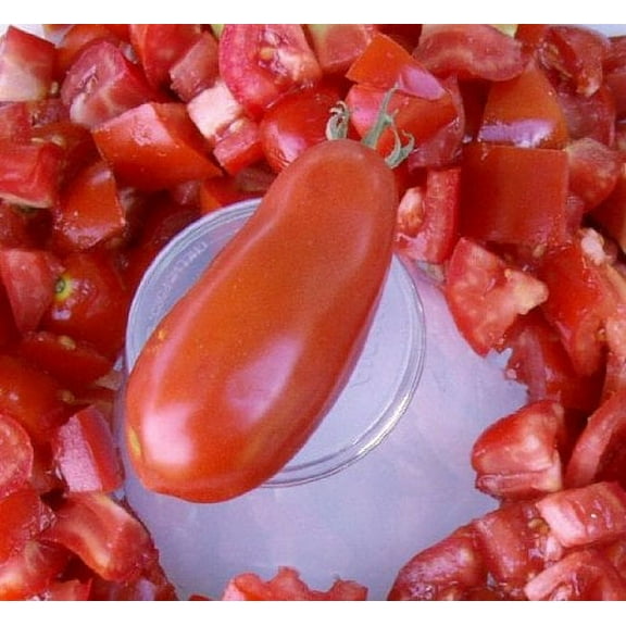 Tomato San Marzano Great Heirloom Garden Vegetable by Seed Kingdom Bulk 1 OZ Seeds