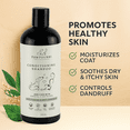 thumbnail image 4 of Conditioning Shampoo for Dogs – Anti-Itch & Anti-Bacterial with Tea Tree Oil & Oatmeal, 6.7 fl oz, 4 of 6