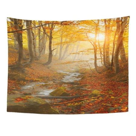 ZEALGNED Sunrise Gold Autumn Waterfall Stream in Forest Europe Mountains France Colorful Best Landscape Wall Art Hanging Tapestry Home Decor for Living Room Bedroom Dorm 51x60