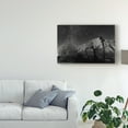 thumbnail image 3 of Trademark Fine Art 'Joshua Tree Sea Of Stars' Canvas Art by American School, 3 of 4
