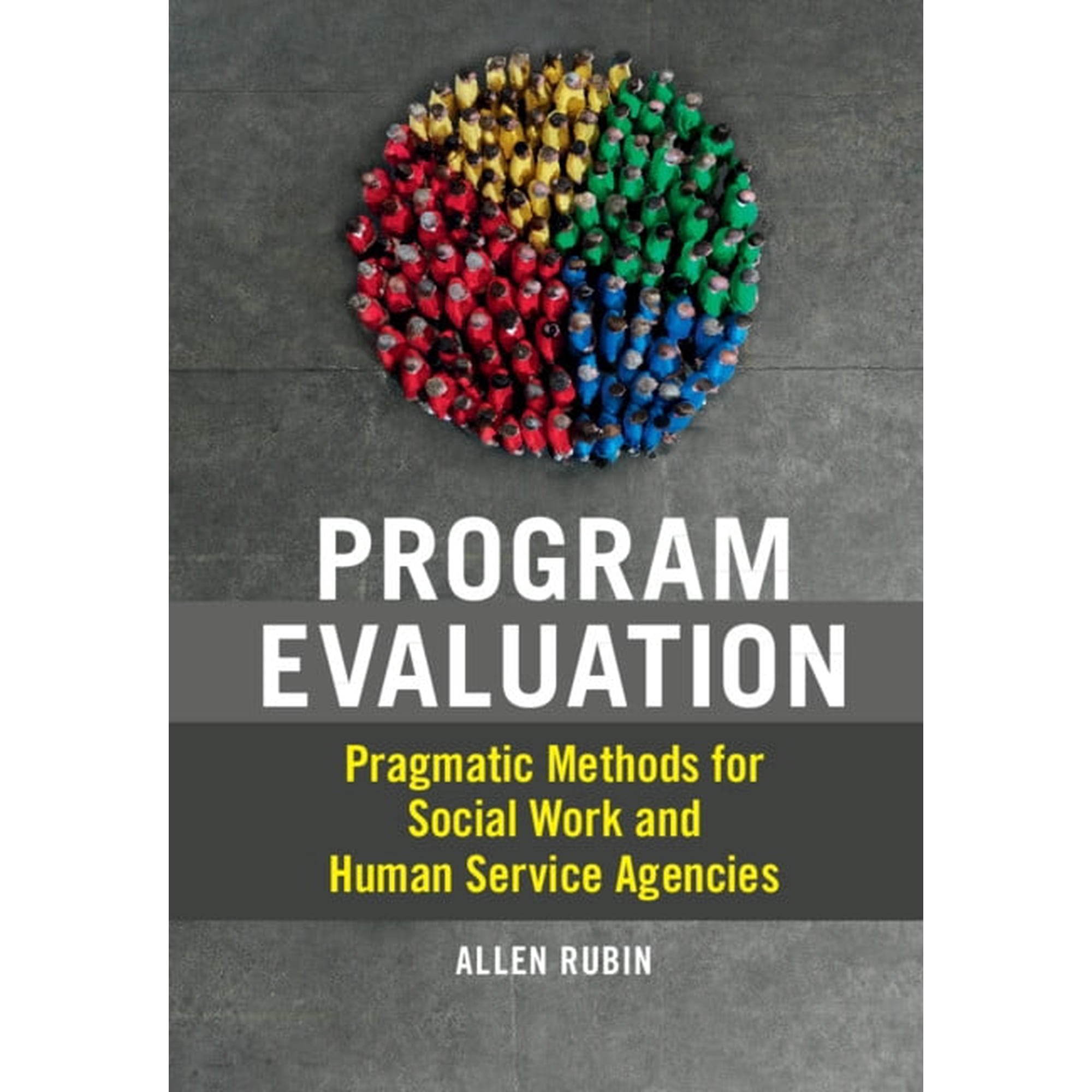 Program Evaluation (Hardcover)