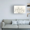 thumbnail image 2 of Trademark Fine Art Jakob Arnholtz Untitled Canvas Wall Art - 30x47, 2 of 5