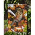 thumbnail image 3 of Carolines Treasures ASA2067GF Redwing Flag Garden Size, 3 of 3
