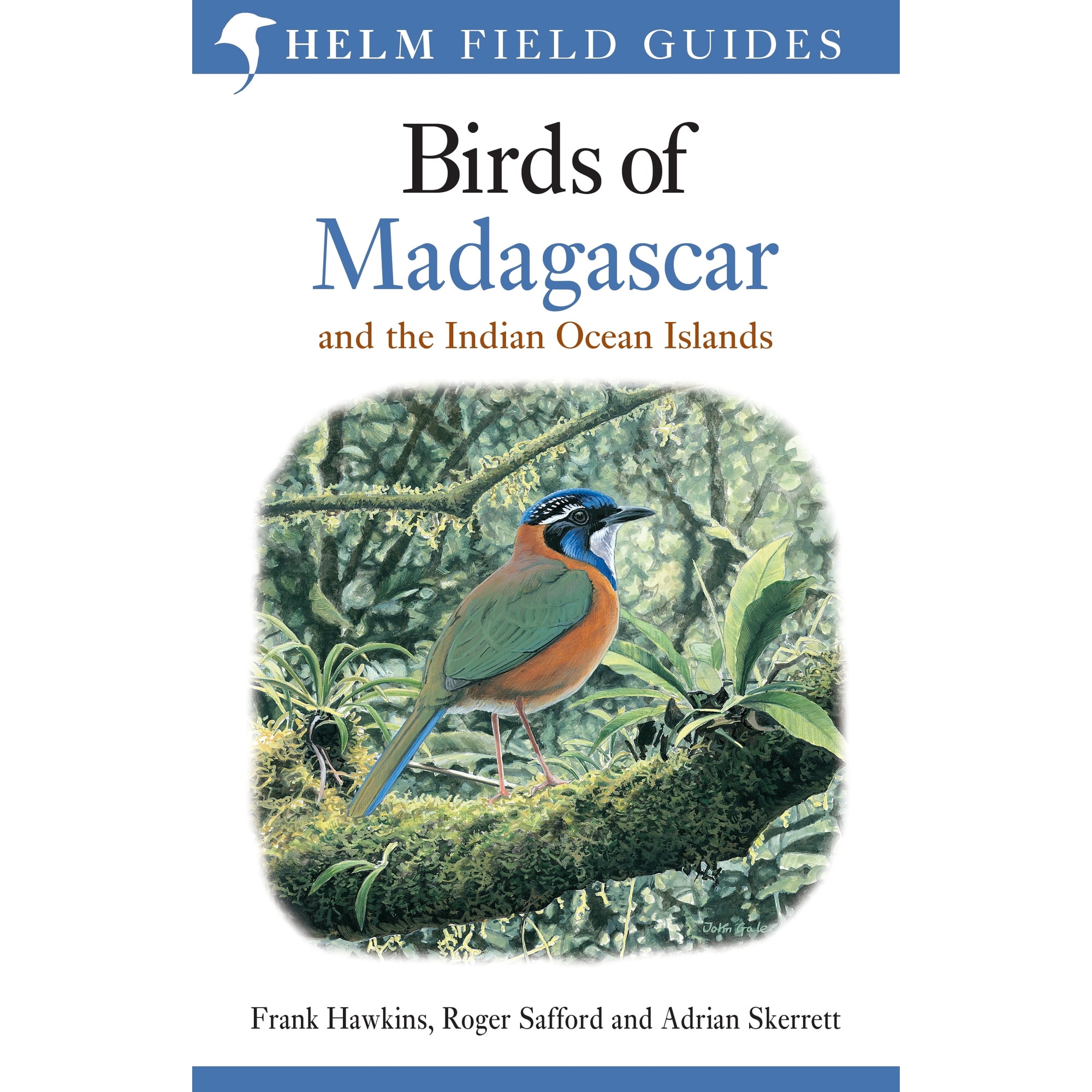 Helm Field Guides: Field Guide to the Birds of Madagascar and the Indian Ocean Islands (Paperback)