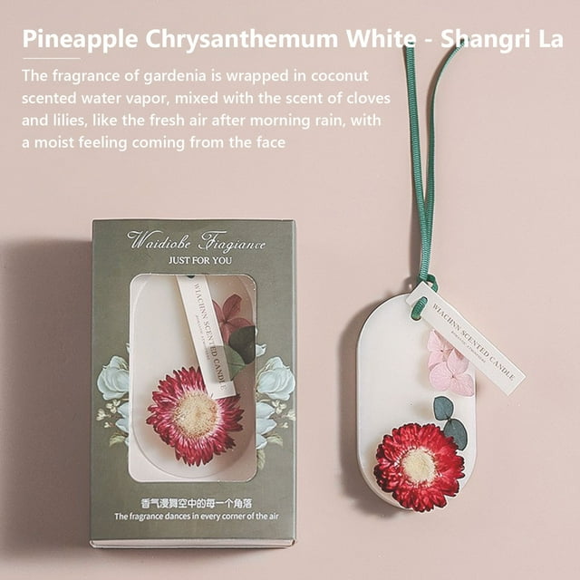 1* Lámina de cera aromática para armario, ambientador sólido de larga duración para el interior del hogar, lámina aromática para armario del dormitorio.